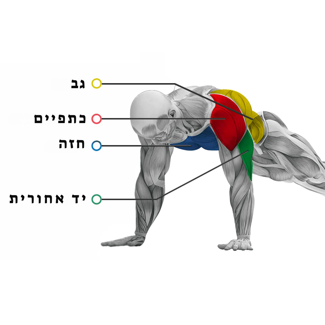 PushBoard - לוח שכיבות סמיכה מתכוונן